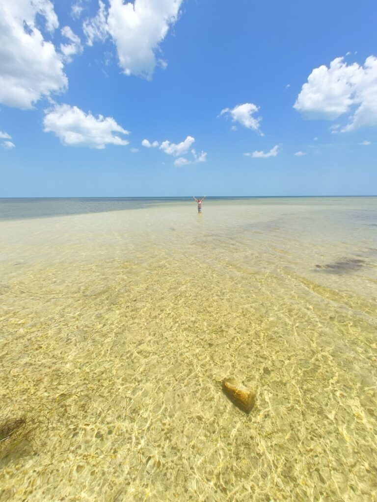 IMG-20230511-WA0024